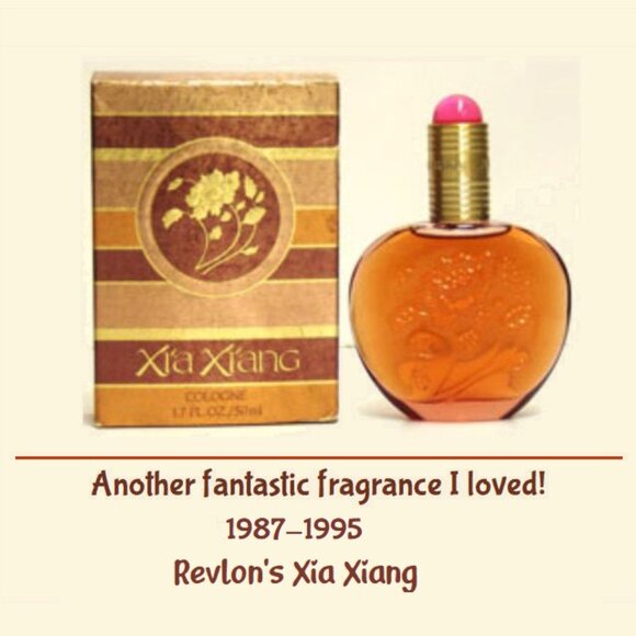 Meet your Posher, Mischa - Picture 3 of 5